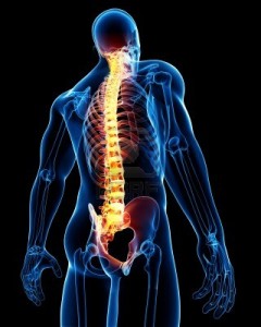 13757475-3d-rendered-medical-x-ray-illustration-of-male-spine-anatomy (1)